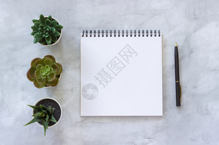 纸三个多肉植物和白色开放空笔记本大理石桌子背景上的笔顶视图模拟平面放置板用于您的文本设计三多肉植物和白色开放空笔记本放在大理石桌图片