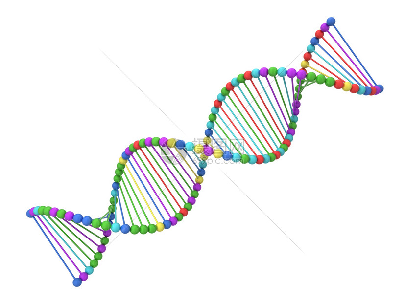 遗传上Dna螺旋3d插图在白色背景上孤立分子科学图片
