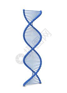 微观蛋白质化学医疗的dna螺旋3d插图在白色背景上孤立微观的进化设计