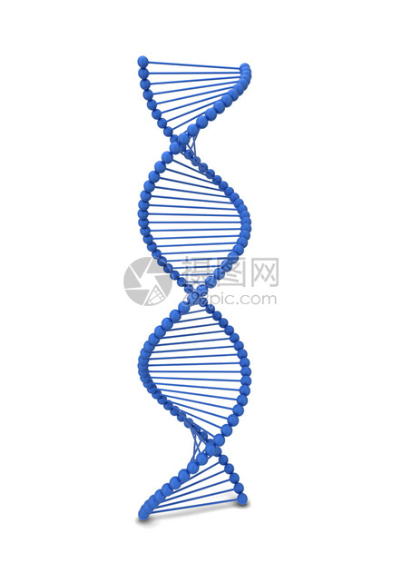 医疗的Dna螺旋3d插图在白色背景上孤立微观的进化图片