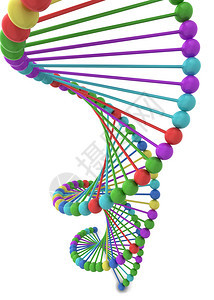 生物化学Dna螺旋3d插图在白色背景上孤立基因组药物图片