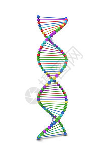 克隆Dna螺旋3d插图在白色背景上孤立分子白色的图片