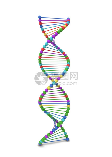 克隆Dna螺旋3d插图在白色背景上孤立分子白色的图片