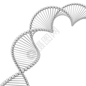 白色的生物化学基因组Dna螺旋3d插图在白色背景上孤立图片