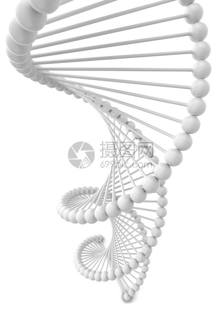 Dna螺旋3d插图在白色背景上孤立分子研究技术图片
