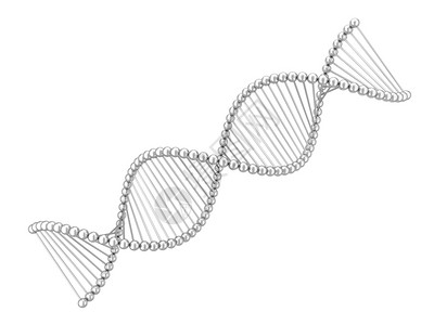 遗传学研究Dna螺旋3d插图在白色背景上孤立药店图片