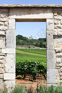 农村红色的门法国伯根迪查萨涅蒙特拉切葡萄园的景观图片