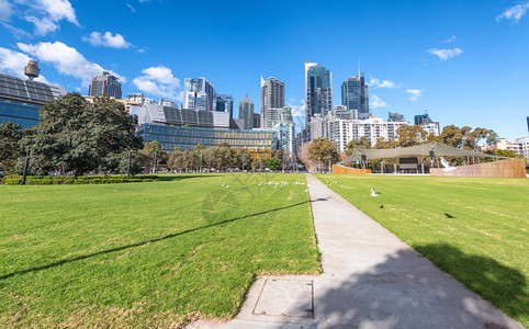 一种八月2018年9日208年城市摩天大楼从美丽的公园出来在阳光明媚的一天悉尼每年吸引150万游客晴天图片