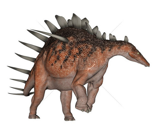 素食主义者插图肯特龙恐在白色背景的肯特龙恐行走中有很多尖钉巨大的图片