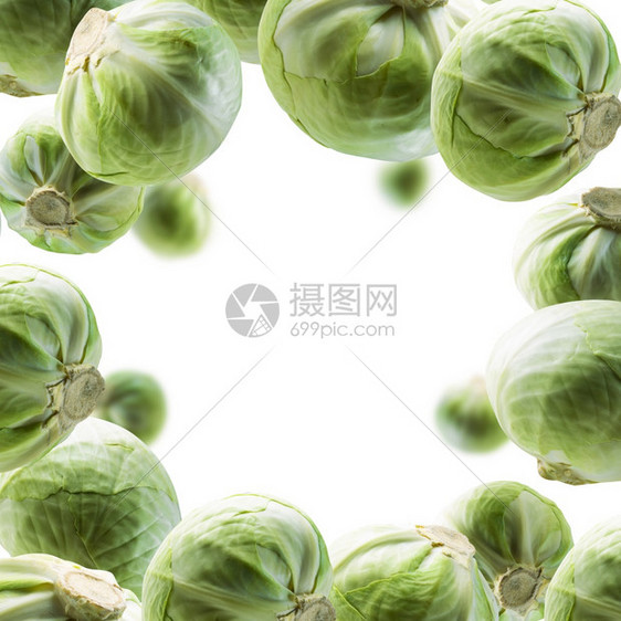 农业框架节食绿色卷心菜漂浮在白色背景上绿卷心菜漂浮在白色背景上图片