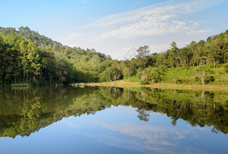 公园清晨美丽的森林湖泰国马洪孙美翁家公园荒野宁静放松图片