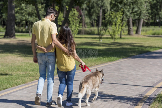 孩子脸女士父亲母公园步行狗图片