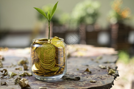 心硬币银行业树上生长在玻璃小猪库的树上从底模糊的金币堆积而出图片