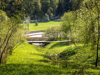 旅行叶子阳光明媚的夏日公园小木桥在阳光晴朗的一天森林公园伍德桥花图片