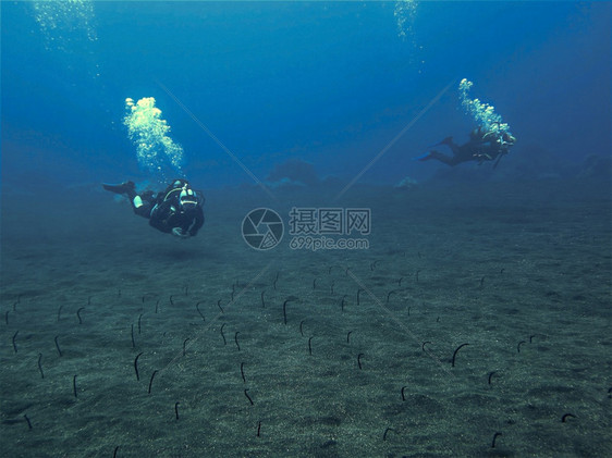 正念3号Eel花园和潜水员岛屿图片