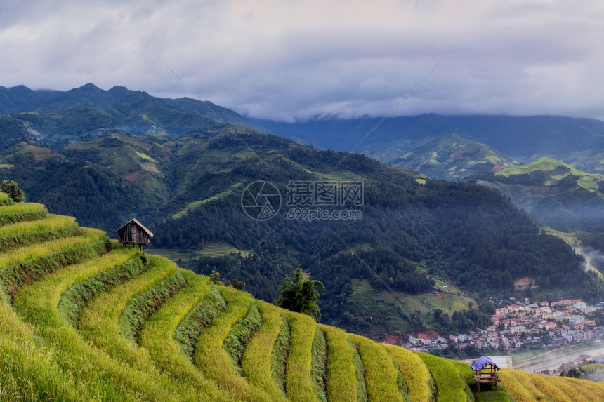 越南YenBaiMuCangChai梯田上的稻越南西北部MuChai的稻田准备收割巴厘岛园艺燕白图片