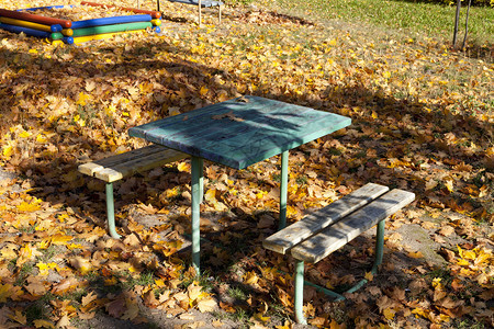 草地假期公园的旧木板桌和长椅当年秋天物体被落时黄色树叶秋台桌子图片