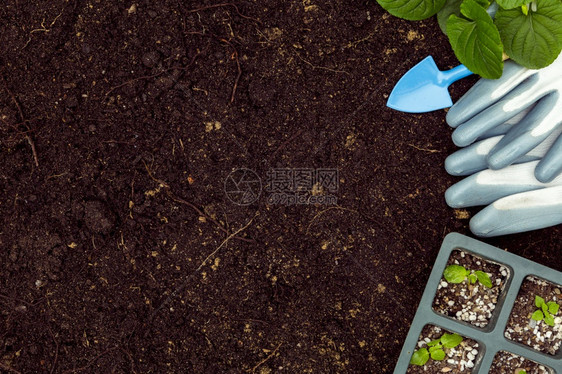 木头粉彩具有复制空间的植物土壤和园林工具花朵图片