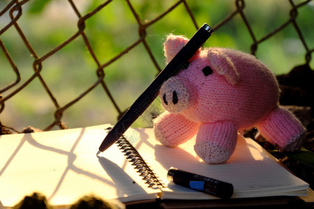 粉色的小猪信用笔前栅栏在纸上写记本着滑稽的手工造猪概念写着落叶羊毛粉色猪和黄日落光图片