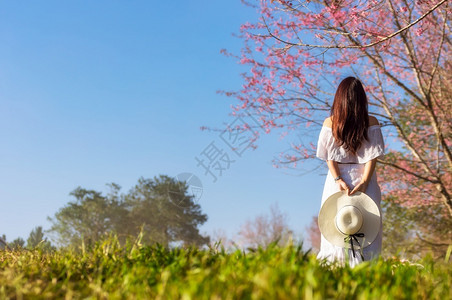 宽边路夏天在大自然日落时的快乐妇女带着宽厚的帽子握在手中享受自由感着美丽的幸福女人在自然花朵中微笑图片