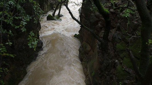 在伊斯雷尔的贝里雅河中通常流动缓慢的河现在暴雨之后波里亚斯岛附近的巴里雅斯河下许多降雨成为一条交汇溪流巴尼亚斯树木河边图片