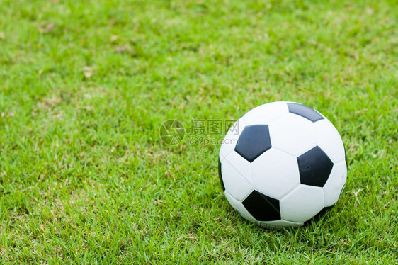 户外黑色和白球被放在足场上草地象征图片