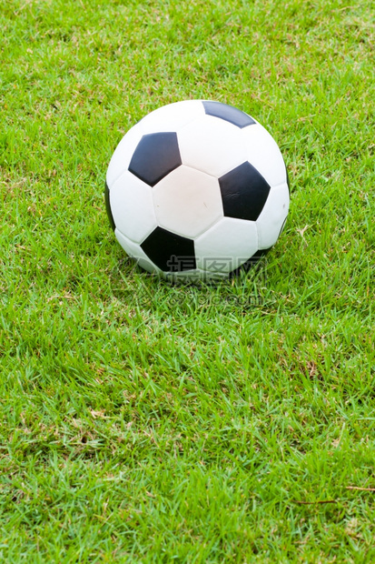 赢夏天自然黑色和白球被放在足场上草地图片