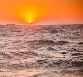 日落夏季假背景的海浪树地平线采取图片