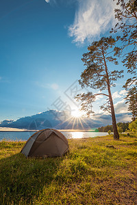 夏天假期阳光在松树下湖岸边的旅游帐篷图片