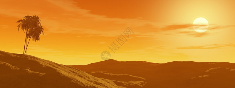 棕榈树和日落沙丘上的棕榈树地平线景观橙图片