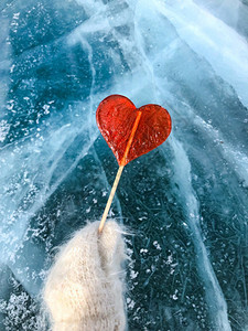 戳一个心形的红色棒糖在冰的背景下手握套礼物爱图片