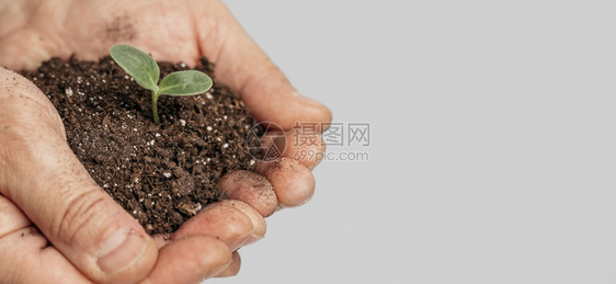 手握带复制空间的土壤种植物分辨率和高品质美丽照片手握带有复制空间的土壤种植物高品质美丽照片概念出生保护人们图片