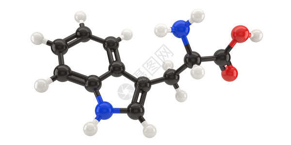 Tryptophan分子结构3d插图带有剪切路径象征公式补充图片