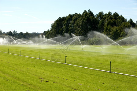 洒水器园艺美好的澳大利亚新南威尔士Windsor附近的一个地盘农场灌溉图片