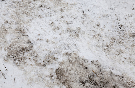 在最后一场雪落之的下照片是在降后的冬季拍摄满寒冷高图片