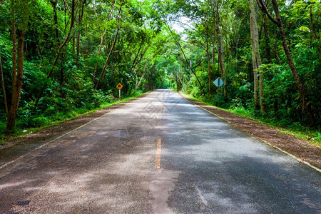 通往山地背景的公路谷荒野图片