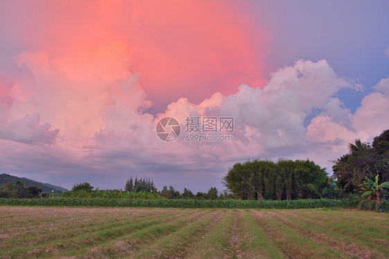 日落时美丽的云彩颜色草蓝的晚上图片