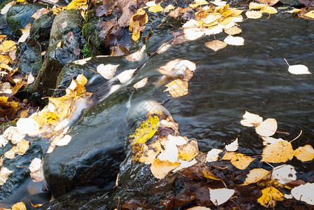 美丽的秋天小溪带一个的级联流动山春天图片
