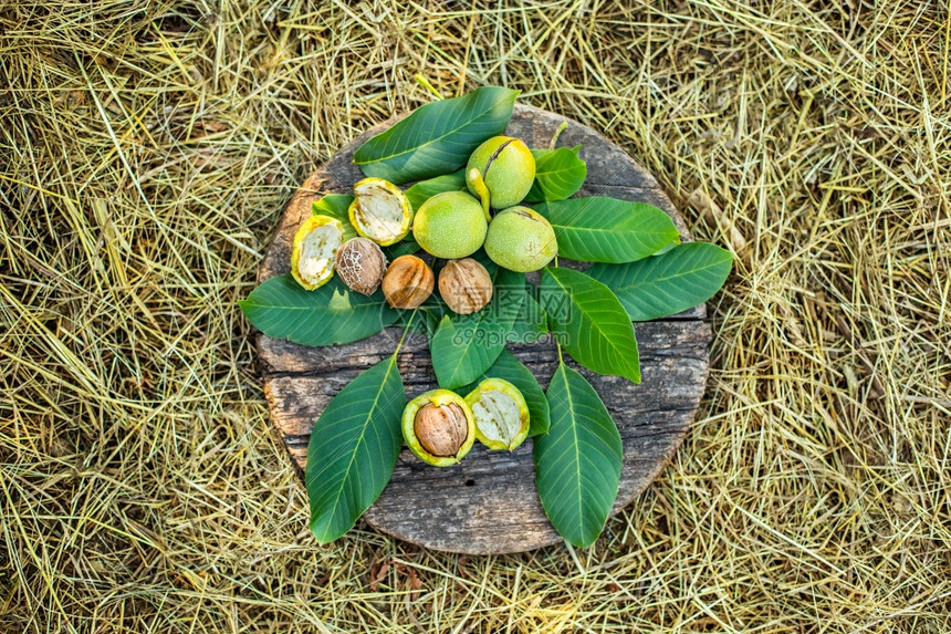 团体难的颜色一小撮绿的年轻胡桃在木质背景上有壳子和胡桃在绿皮上的在木质背景上有少数绿色的小胡桃图片