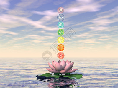 瑜伽百合一朵莲花上的七个脉轮符号柱和日落背景中的水3D渲染莲花上的七个脉轮符号柱渲染治疗图片