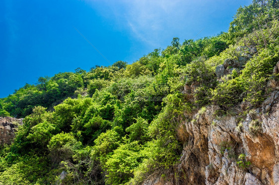 夏天美丽Kohkham山和蓝天空树图片