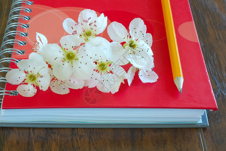 写在笔记本上的浪漫信日记春花之有铅笔的爱情信息符号可爱的花情激概念爱歌词书迷人的组织者提议图片