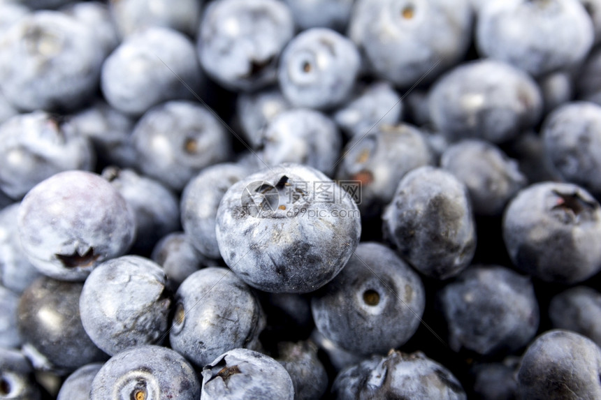 水果一种农民蓝莓上鲜桌背景新摘的蓝莓图片