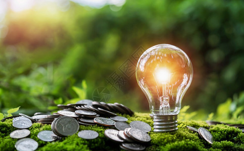 股票现金创新自然界的节约金钱与能源概念在绿色草地和阳光上装着灯泡图片