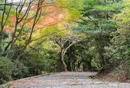 假期丰富多彩的岚山在日本京都的亚林山以美丽的秋天彩色木叶石舞步向下图片