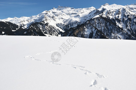 深雪中的脚印图片