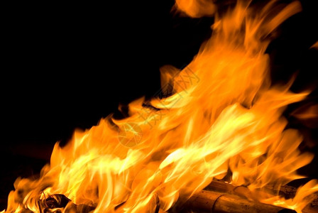 凤凰浴火火焰随风而起生动的力量橙危险设计图片