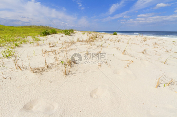 热带沙滩风景图片