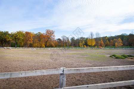 水平的露天黄金秋日露天的色秋日明的农业秋天图片