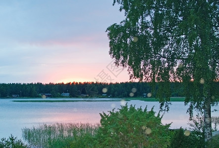 斯堪的纳维亚瑞典瓦尔姆兰湖畔宁静的粉红色日落白桦树和天空反射黄昏橙图片